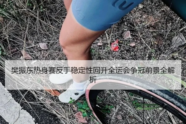 樊振东热身赛反手稳定性回升全运会争冠前景全解析
